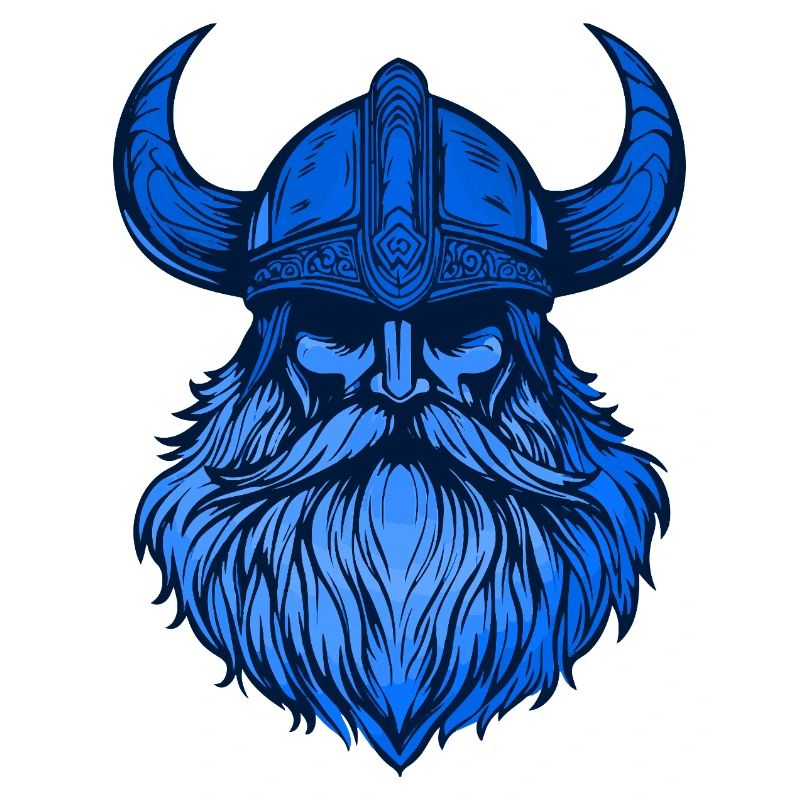 Wikinger Kopf