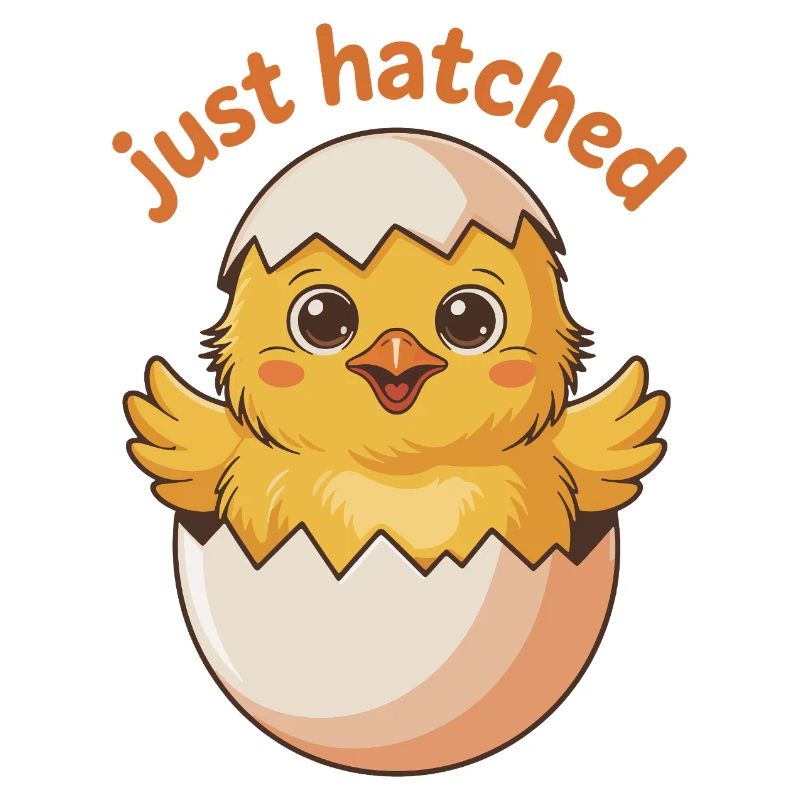 Freshly hatched chick