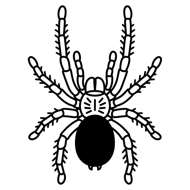 tarantula tarantula