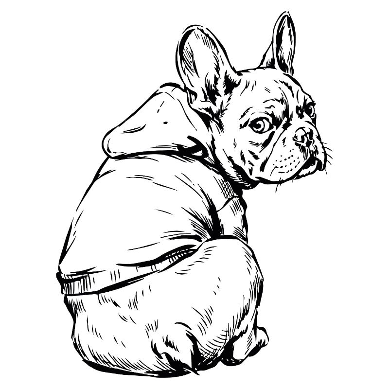 Bouledogue français Pull câlin