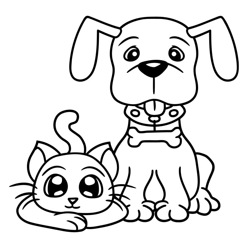 Chien Chat Deux Amis Équipe Chaton 2 Duo Équipage