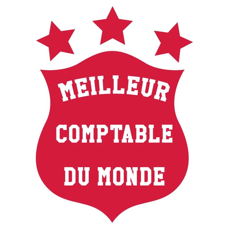 Accountant / Accounting / Comptable / Comptabilité