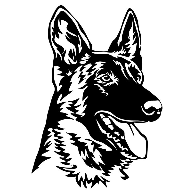 Hollandse Herder Kopf