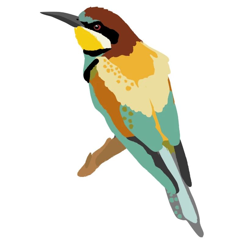 Bee-eater illustration