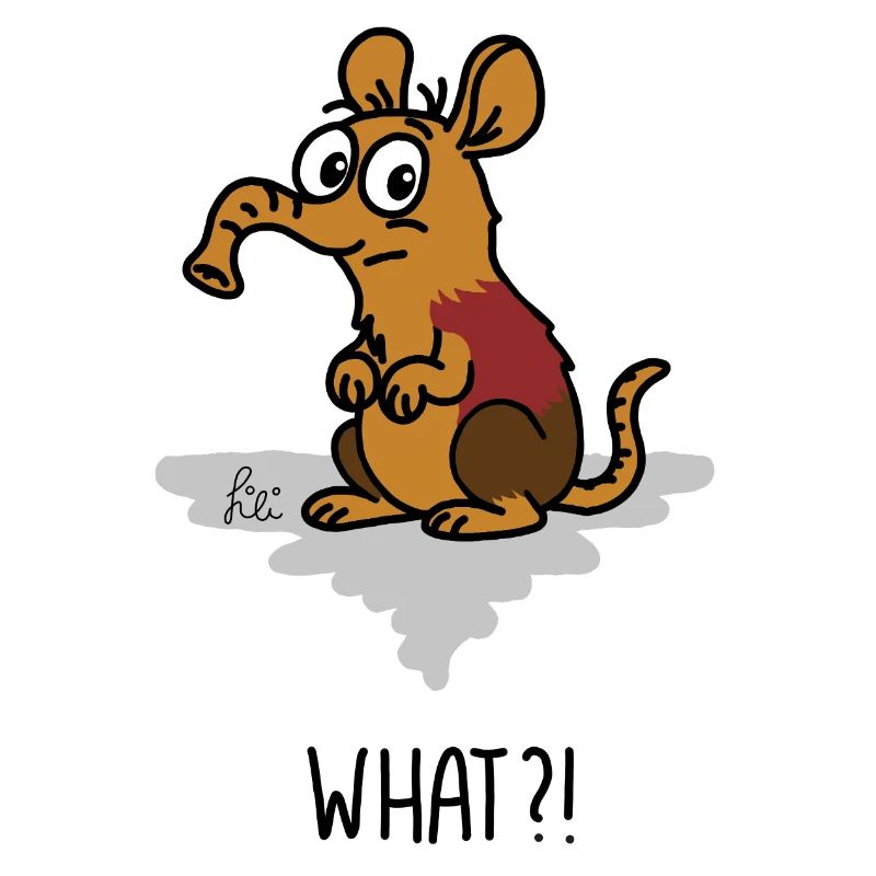 What?! - confused red-shouldered trunk dog