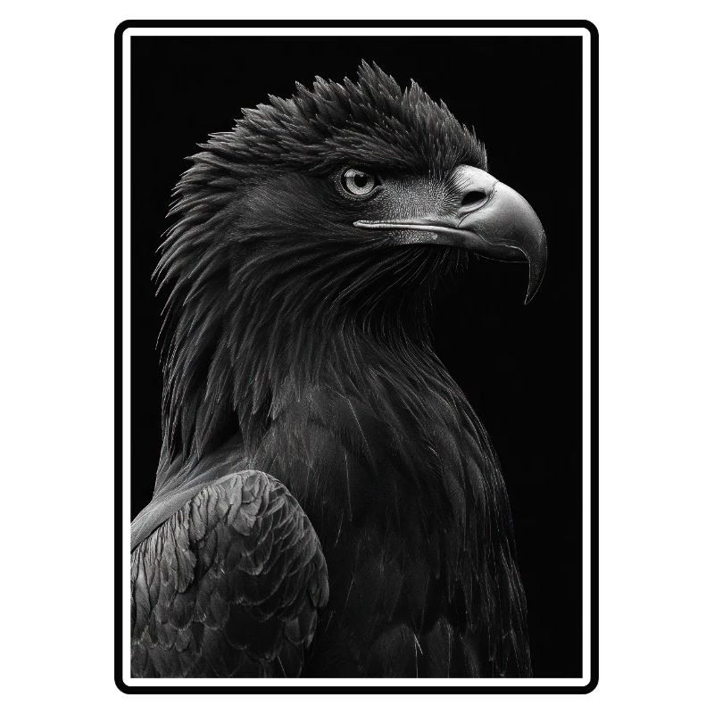 Aigle