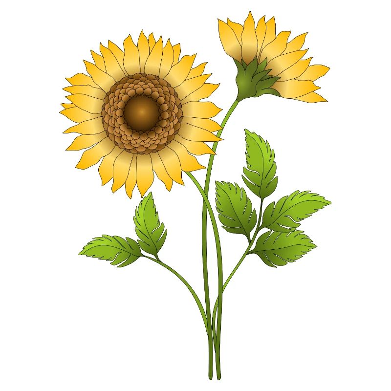 Blumen