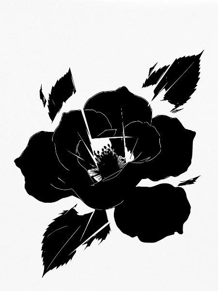 Fragmented Black Rose