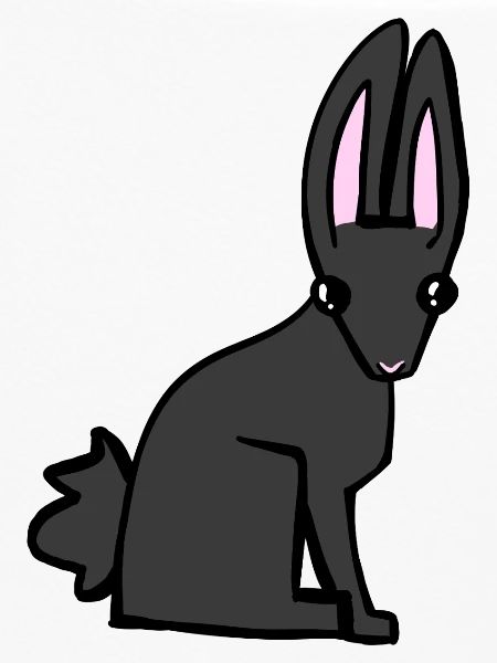 black bunny