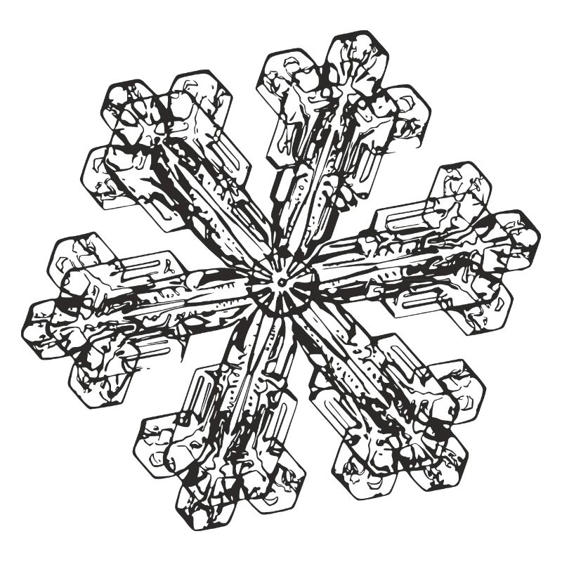 snowflake 3 black