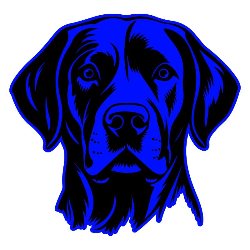 Portrait d’animal de chien labrador