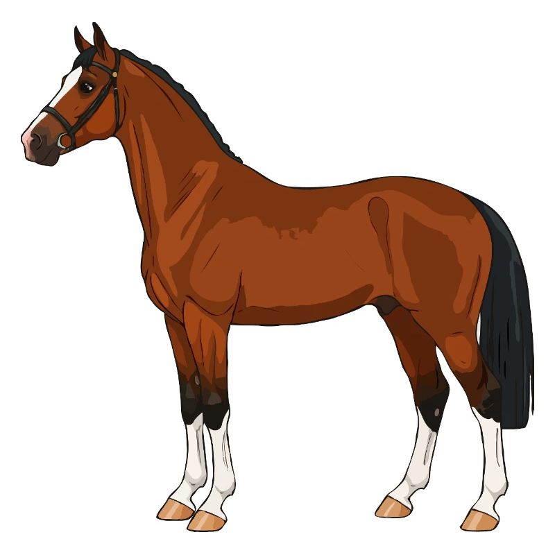 Cheval de Hackney réel