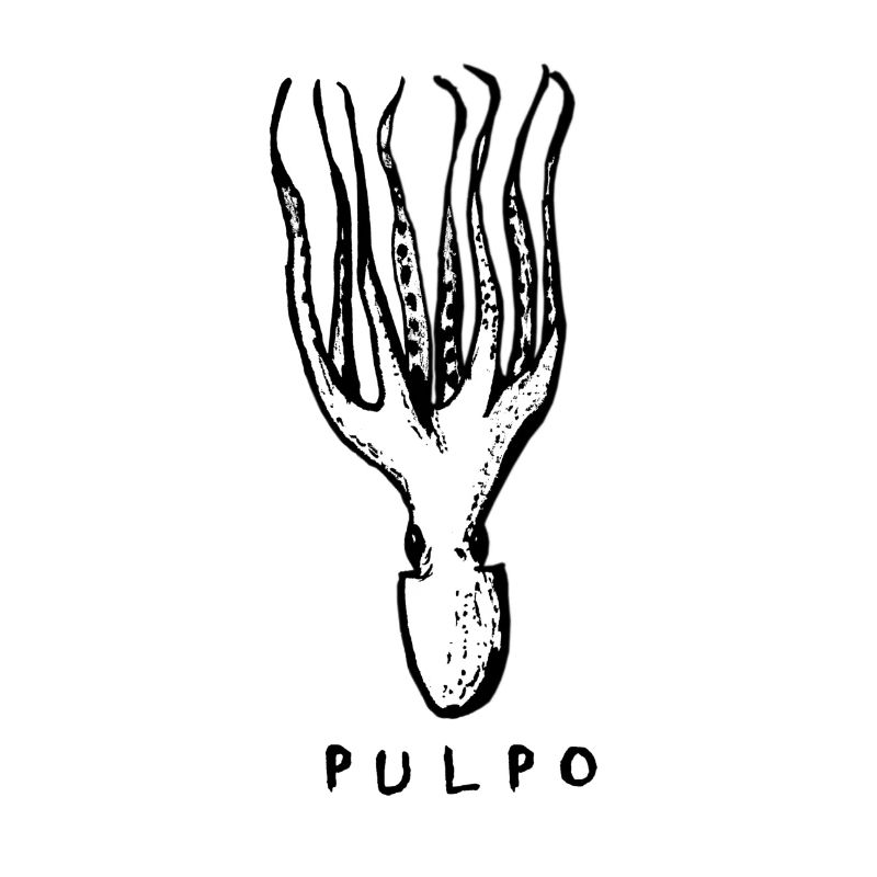 PULPO - octopus octopus tapas