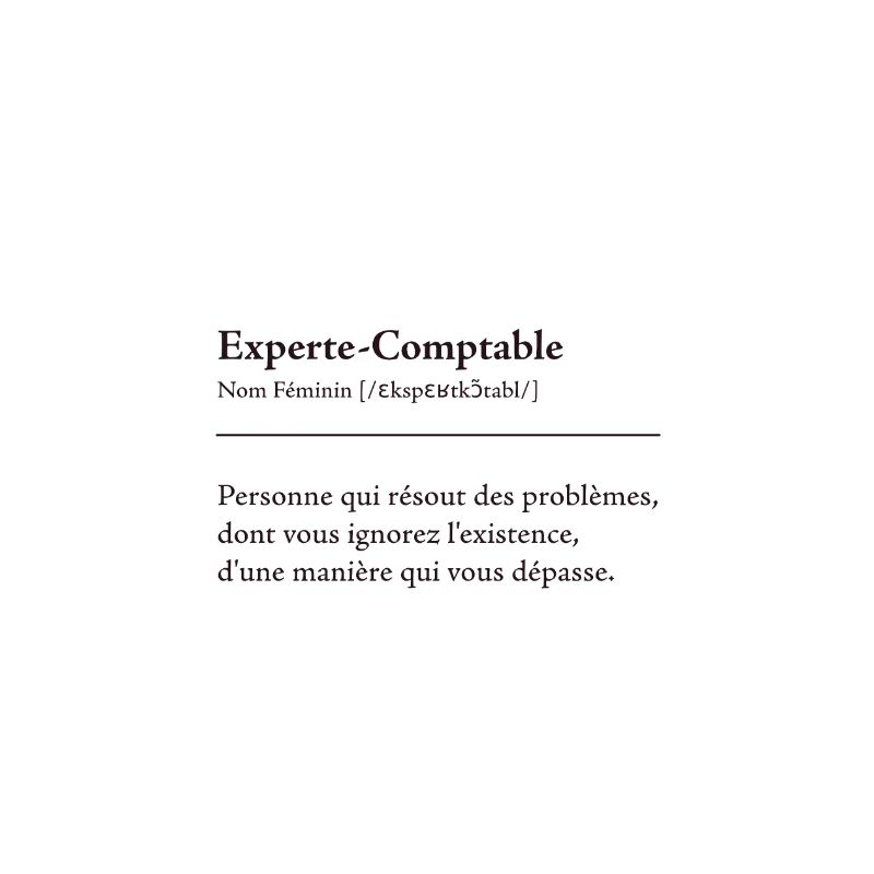 Experte Comptable Definition