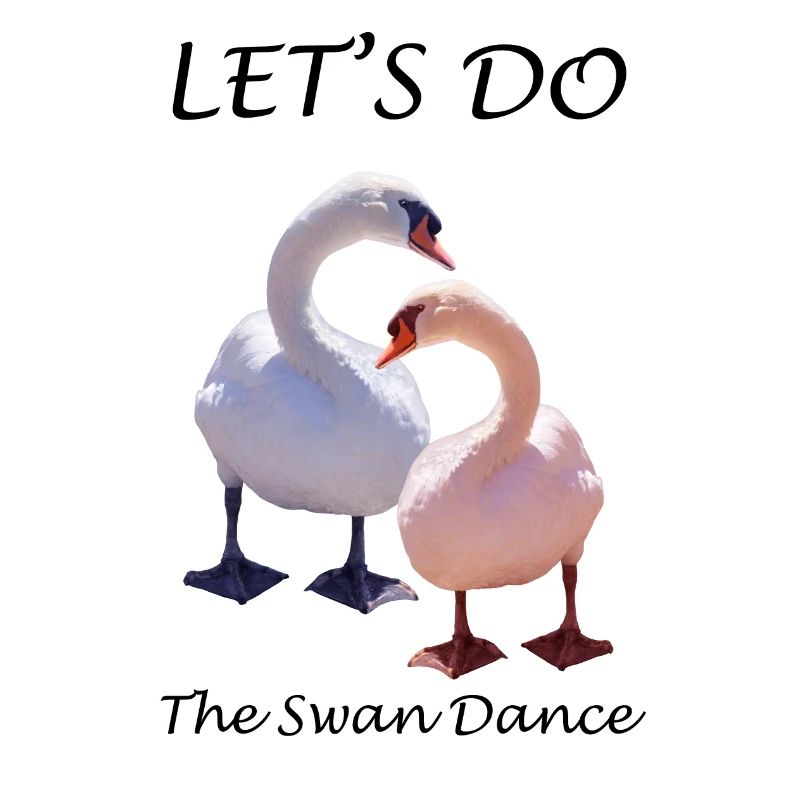 Schwan