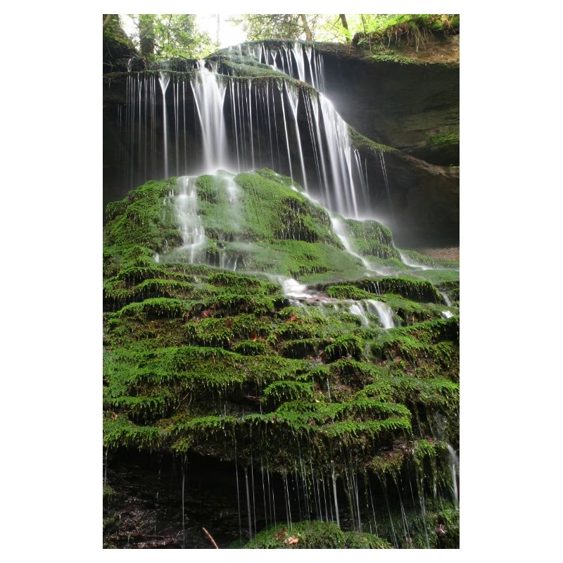 MOOSWASSERFALL HÖRSCHBACH BEI MURRHARDT