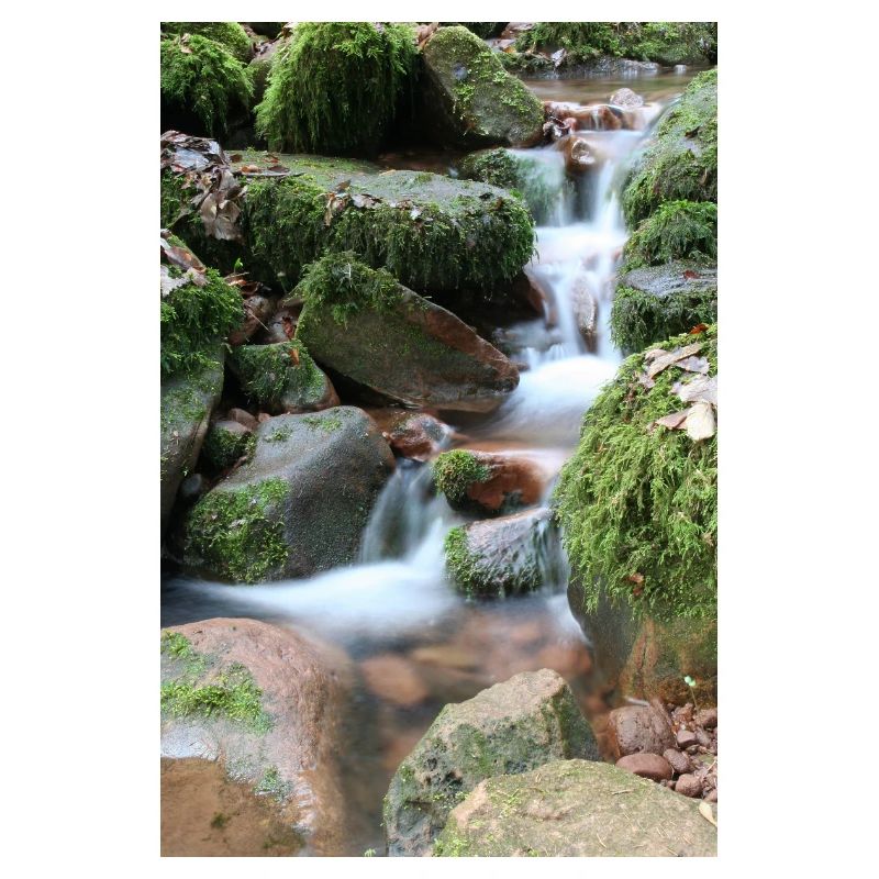 WALDBACH NAGOLDTAL