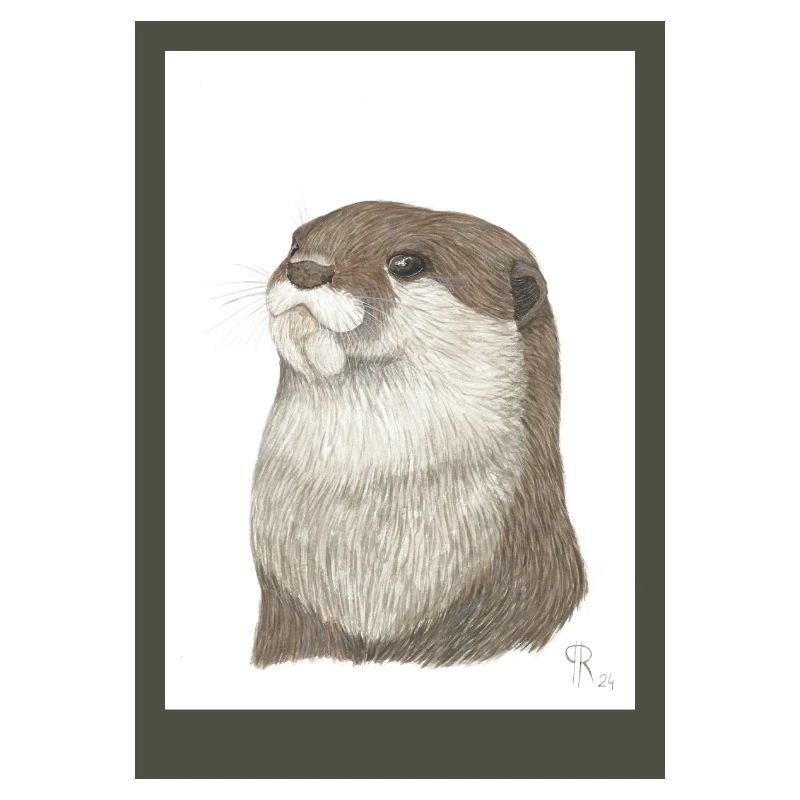 240728 Otter 3