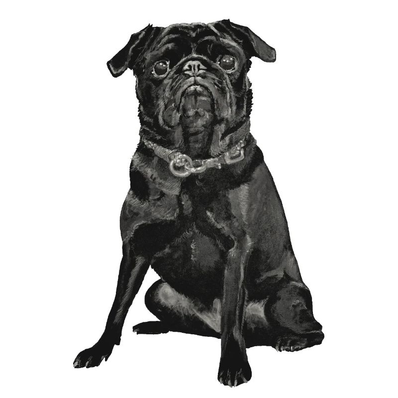 Mops