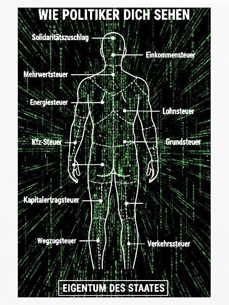 Matrix Zerlegeplan - Steuerzahler Poster 