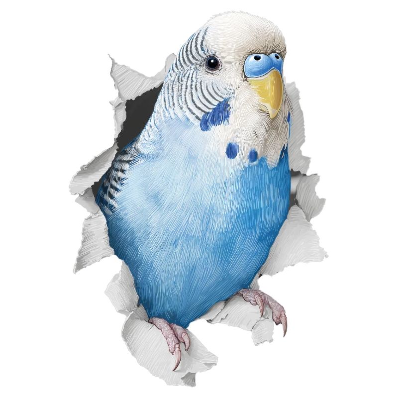 Perruche ondulée