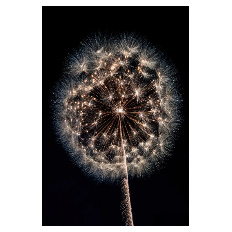 Leuchtendes Löwenzahn-Feuerwerk