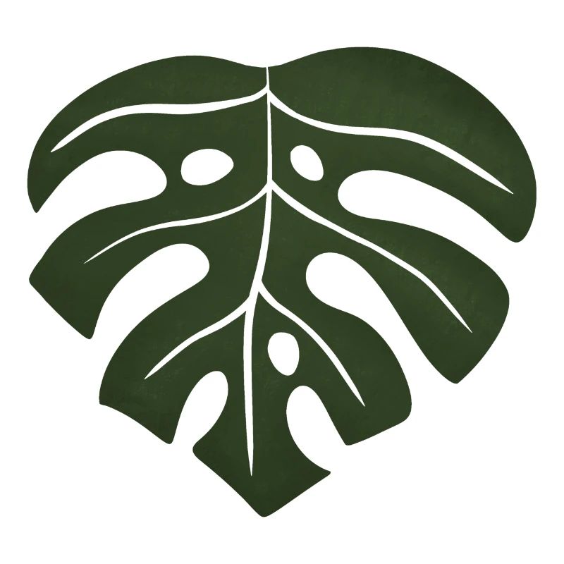 Feuille de monstera