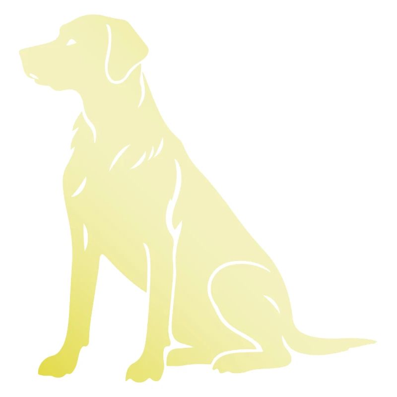 Teckel Teckel Silhouette Chien Silhouette