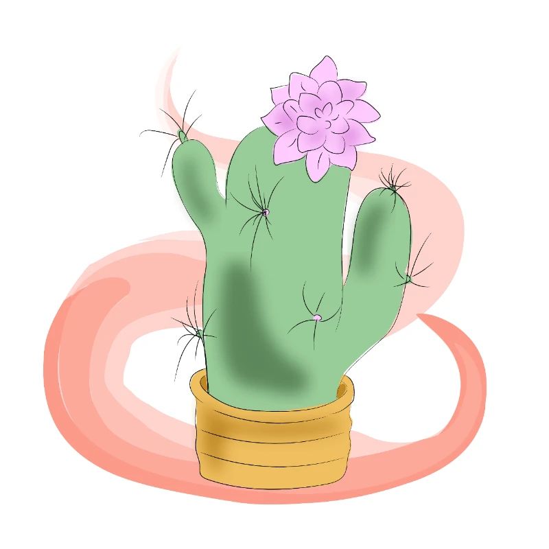 Kaktustopf mit rosa Blüte
