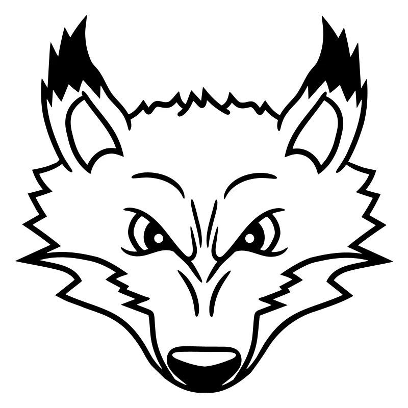 Fuchs Böser Blick Gefährlich Rotfuchs Wildes Tier