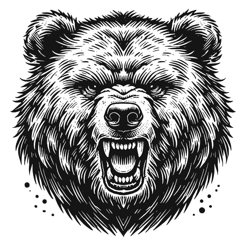 Bär
