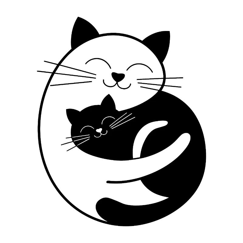 Weiße Katze & Schwarze Katze