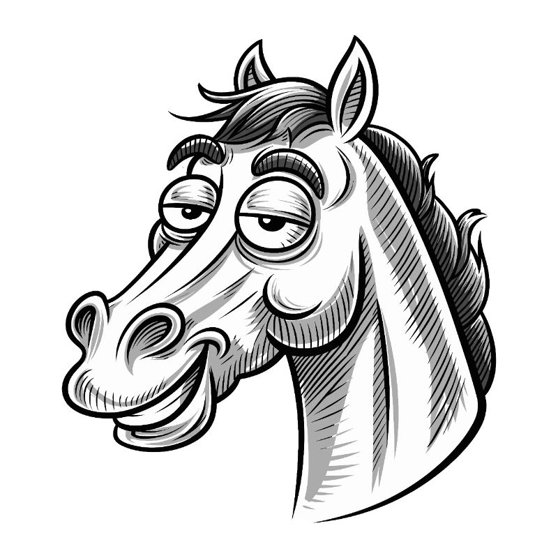Pferd Pferde Reiten Reiter