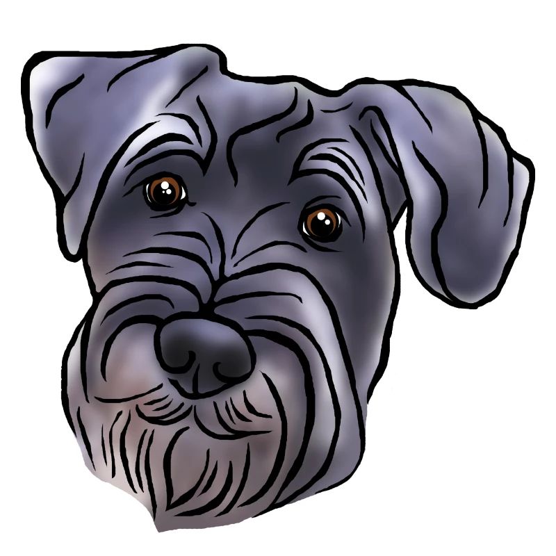 Tête de schnauzer moyenne dans le style bande dessinée