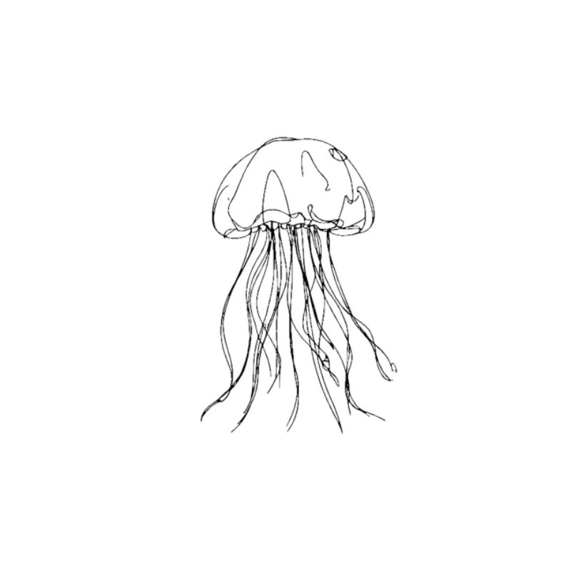 Jellyfish