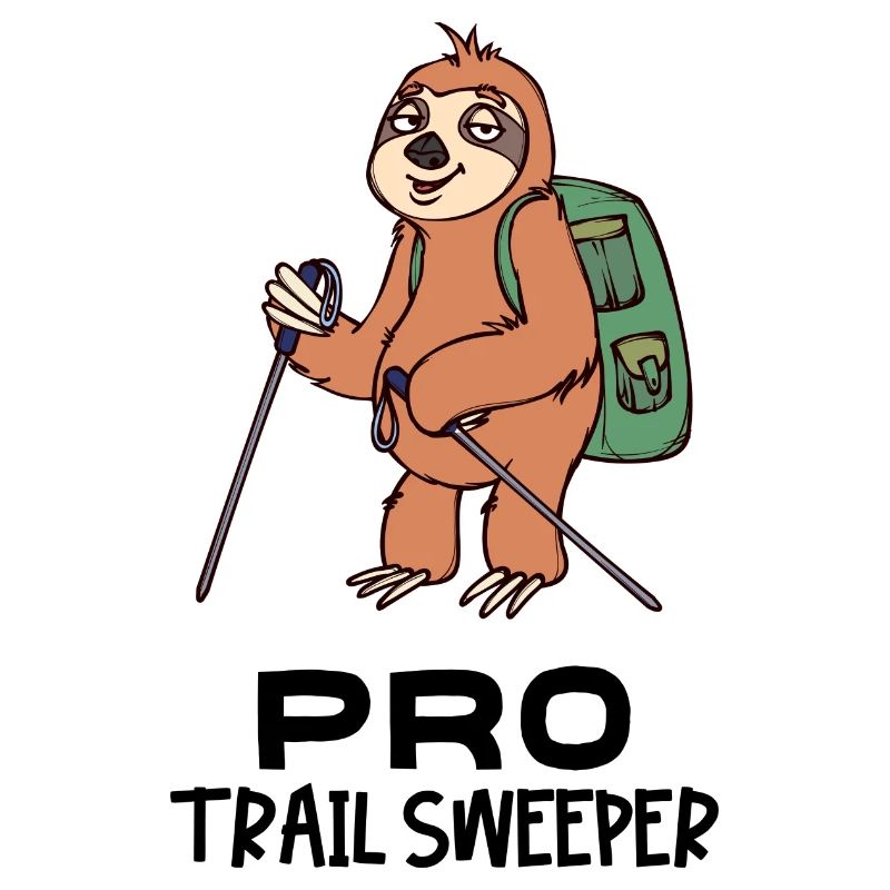 Faultier Statement Tier Säugetier Dschungel