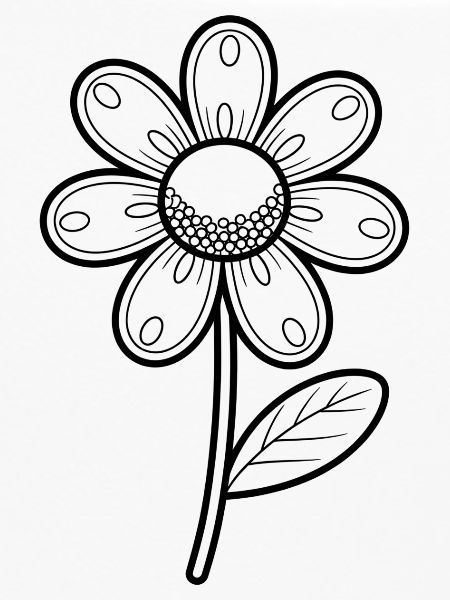 Gänseblümchen
