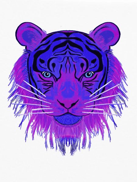 Blue-Eye-Tiger