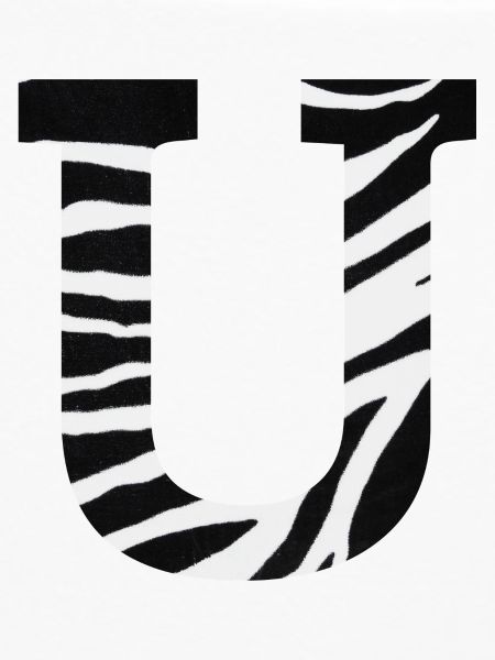 Brief an das Zebra