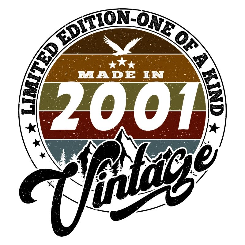 Eleganter Vintage: 2001 Retro Geschenk 2001 2025