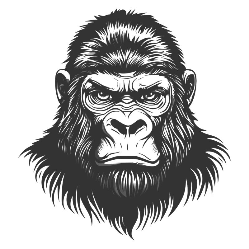 Gorilla