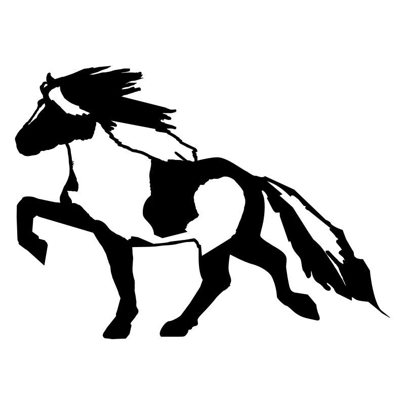 Islandpferd Schecke 7, Pinto reiten Isländer