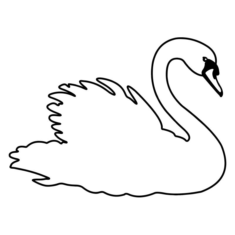 Transparenter Schwan