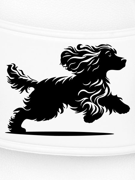 Cocker Spaniel
