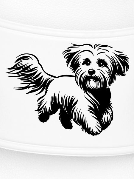 Maltese