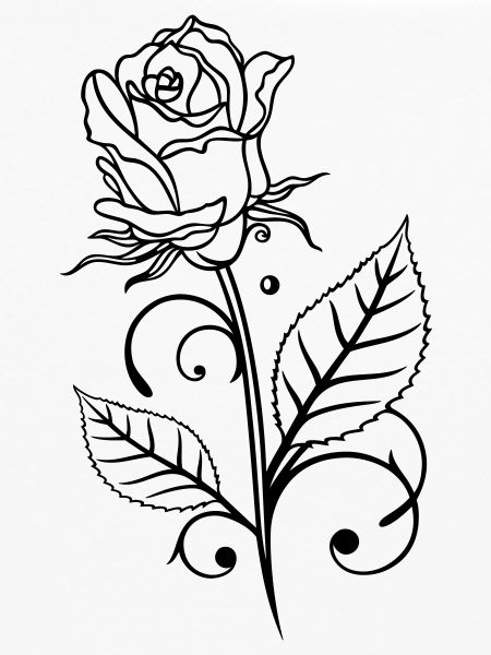 Rose with leaves