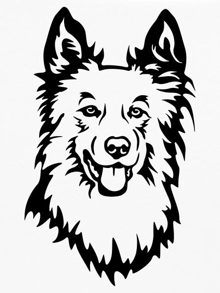Harzer Fuchs Head