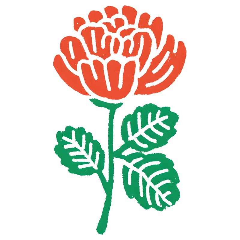 Orangene Rose Illustration
