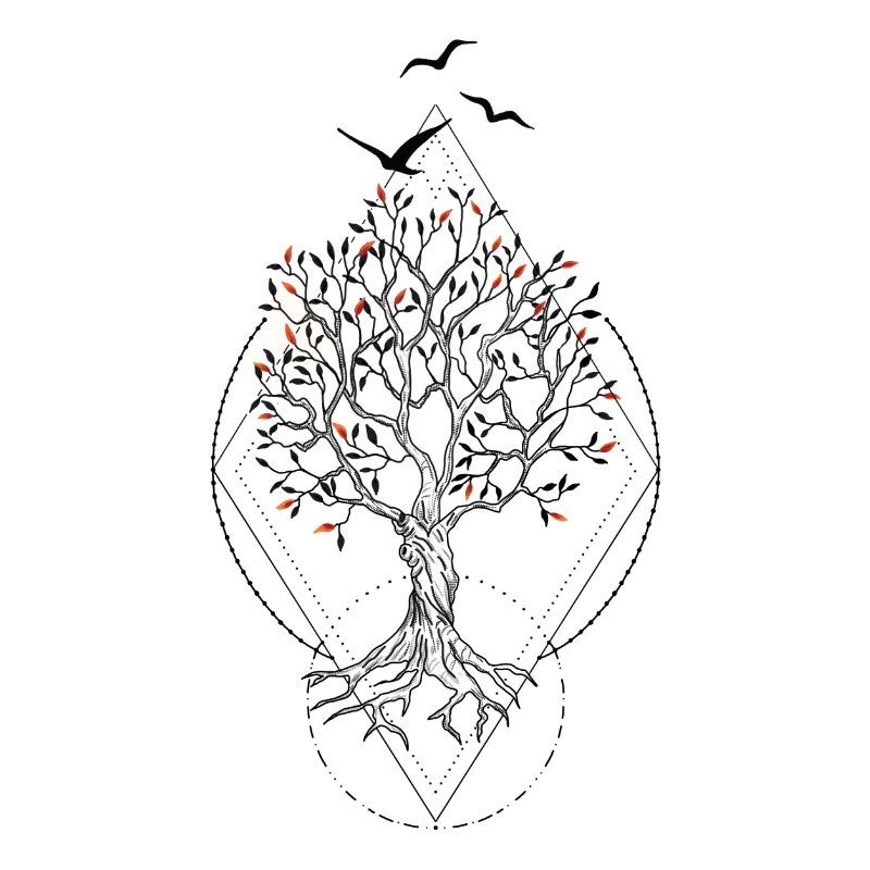 Coucher de soleil feuillu