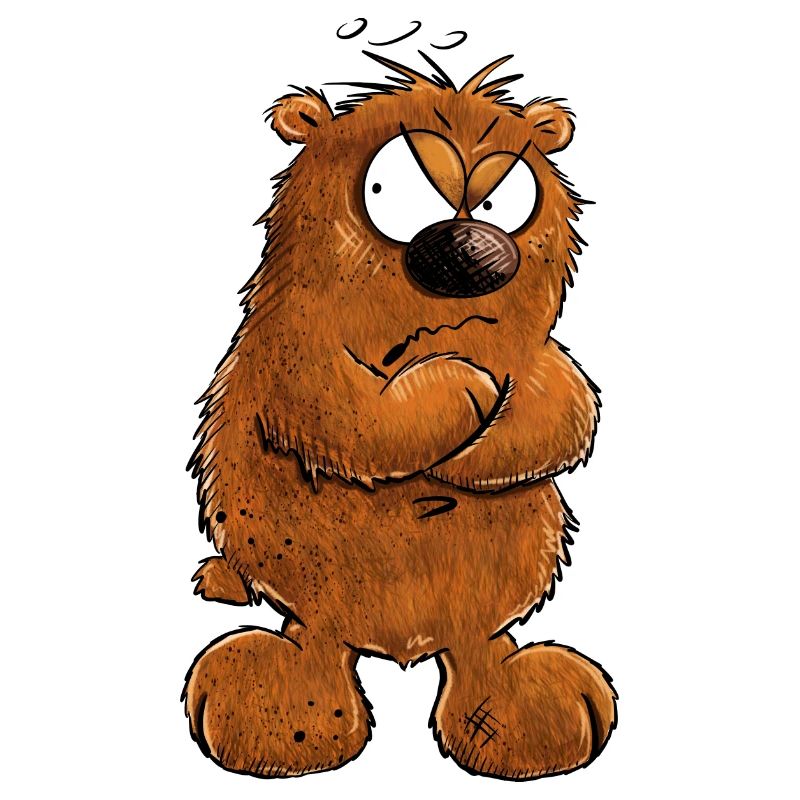 Muffeliger Brauner Bär I Nö Nein Statement